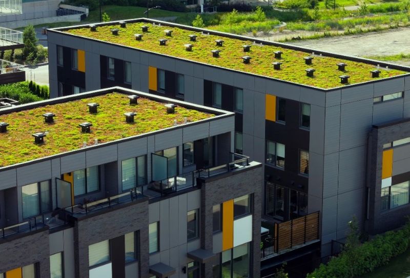 quantity-suraveyor-green-building-plant-roof-min